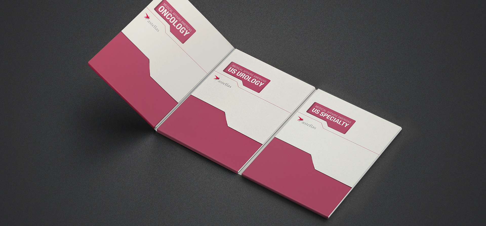 Astellas Pharma Annual